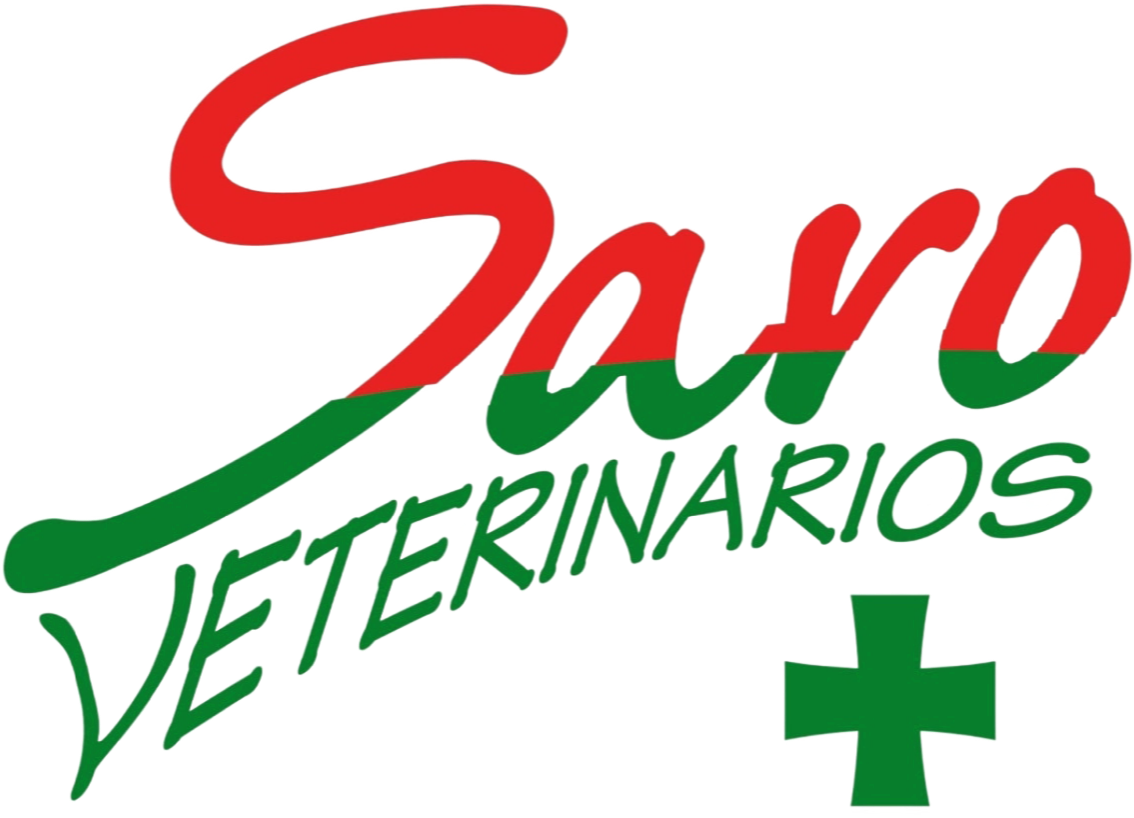sinfondosaro